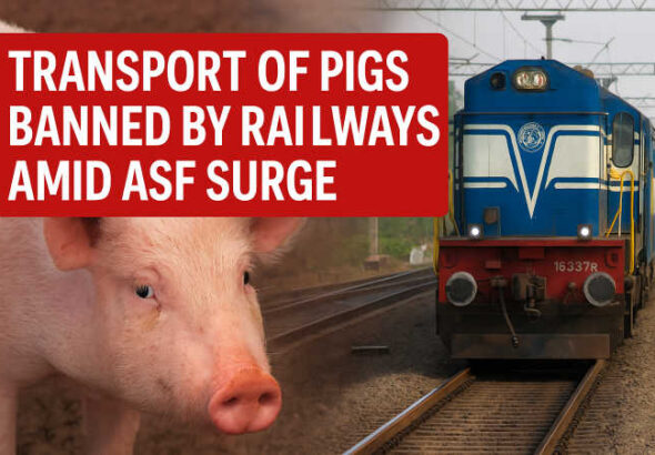 file_00000000d4d461f..._imresizer